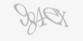 Code de Securité