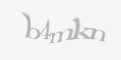 Code de Securité