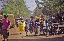 Mali (l'état)