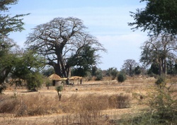 <strong>Lire la suite</strong><br>Région du Mandé Région du Mandé