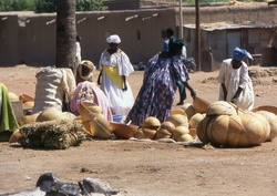 <strong>Lire la suite</strong><br>Groupe des langues Nilo-sahariennes Groupe des langues Nilo-sahariennes