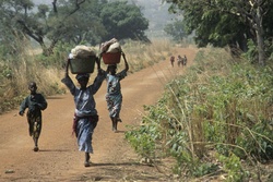 <strong>Lire la suite</strong><br>La région du lac Tchad La région du lac Tchad