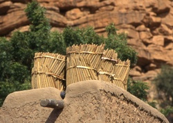 <strong>Lire la suite</strong><br>Habitants du sud-sahel Habitants du sud-sahel