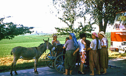 <strong>Lire la suite</strong><br>Slaves du sud Slaves du sud