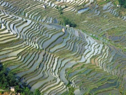 <strong>Lire la suite</strong><br>Les rizières du ciel de Yuanyang (chez les Hani-Akha) Les rizières du ciel de Yuanyang (chez les Hani-Akha)