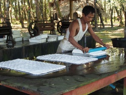 <strong>Lire la suite</strong><br>Récolte du latex (Caoutchouc) Récolte du latex (Caoutchouc)