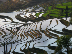 <strong>Lire la suite</strong><br>Cultures et civilisations du sud-est asiatique continental Cultures et civilisations du sud-est asiatique continental
