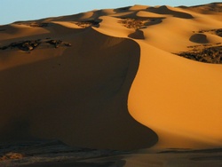 <strong>Lire la suite</strong><br>Langues sahariennes Langues sahariennes