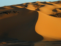 <strong>Lire la suite</strong><br>Langues sahariennes Langues sahariennes