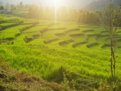 <strong>Lire la suite</strong><br>Asie du sud-est maritime - le climat Asie du sud-est maritime - le climat