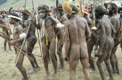 <strong>Lire la suite</strong><br>Les Papous Les Papous