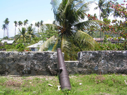 <strong>Lire la suite</strong><br>Histoire des îles aux épices : les Moluques Histoire des îles aux épices : les Moluques