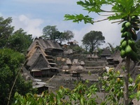 Previous