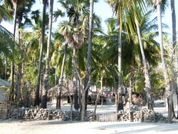 <strong>Lire la suite</strong><br>Roti (l'ile) Roti (l'ile)