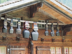 <strong>Lire la suite</strong><br>Suisses (les peuples de la Confédération Helvétique) Suisses (les peuples de la Confédération Helvétique)