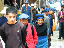 <strong>Lire la suite</strong><br>Populations Populations