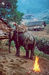 <strong>Lire la suite</strong><br>Karen de Thailande Karen de Thailande