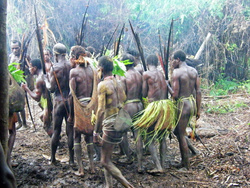 <strong>Lire la suite</strong><br>Korowai - Fête du Sagou Korowai - Fête du Sagou