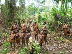 <strong>Lire la suite</strong><br>Les Korowai Les Korowai