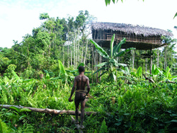 <strong>Lire la suite</strong><br>Korowai - les maisons dans les arbres Korowai - les maisons dans les arbres