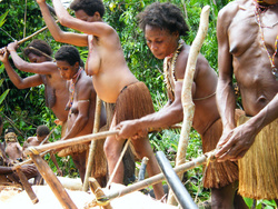 <strong>Lire la suite</strong><br>Korowai - l'alimentation Korowai - l'alimentation