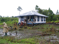 <strong>Lire la suite</strong><br>Korowai - la colonisation Néerlandaise puis Indonésienne Korowai - la colonisation Néerlandaise puis Indonésienne