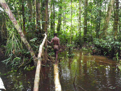 <strong>Lire la suite</strong><br>Korowai - Histoire et mode vie Korowai - Histoire et mode vie