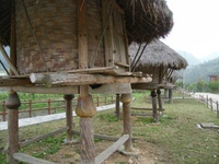 Previous