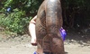Maori Maori