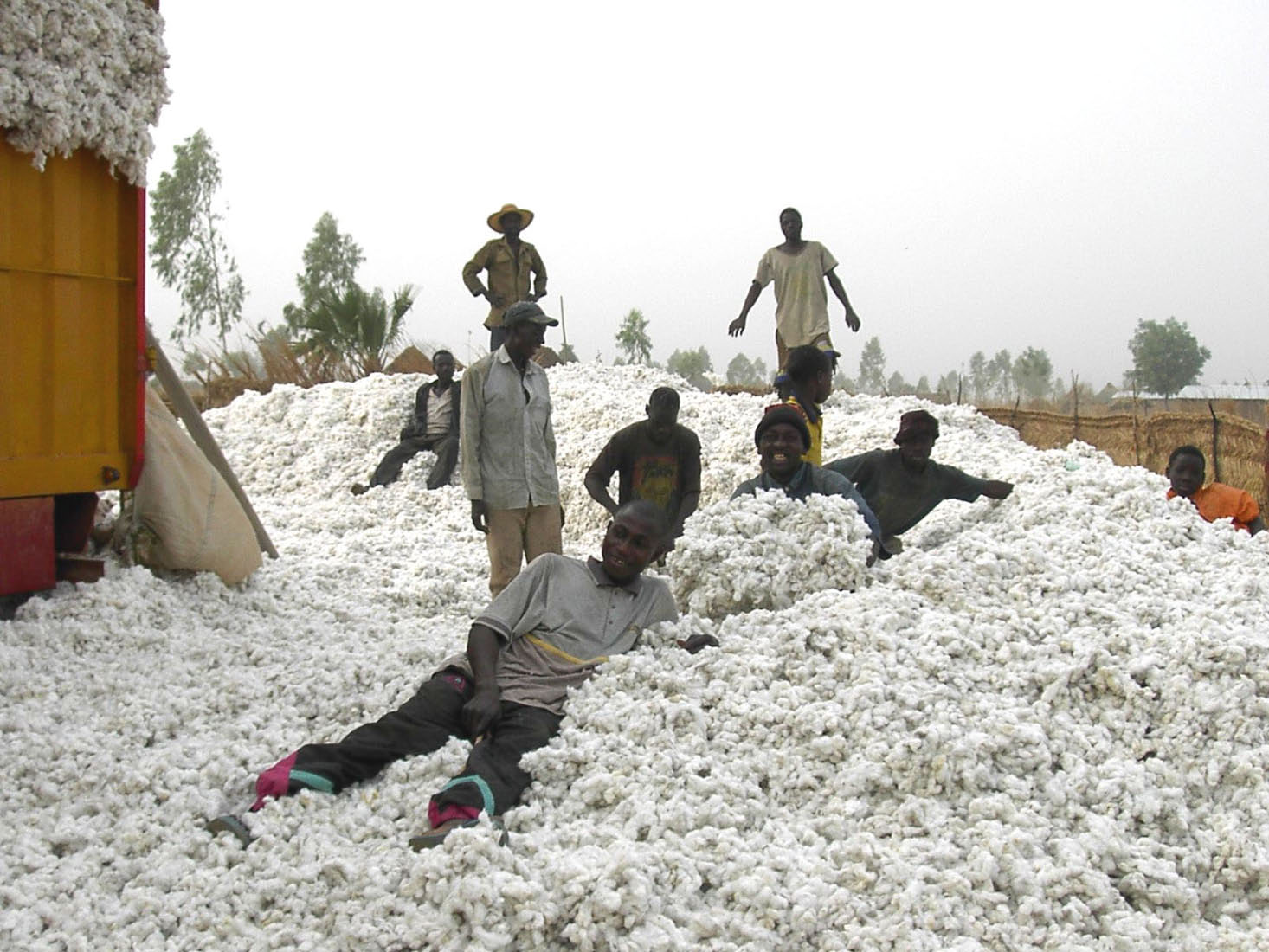 collecte du coton au Benin