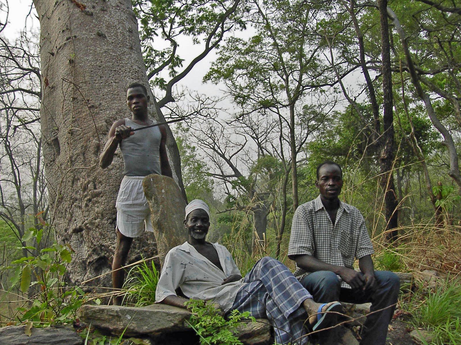 habitants de Afrique forestière