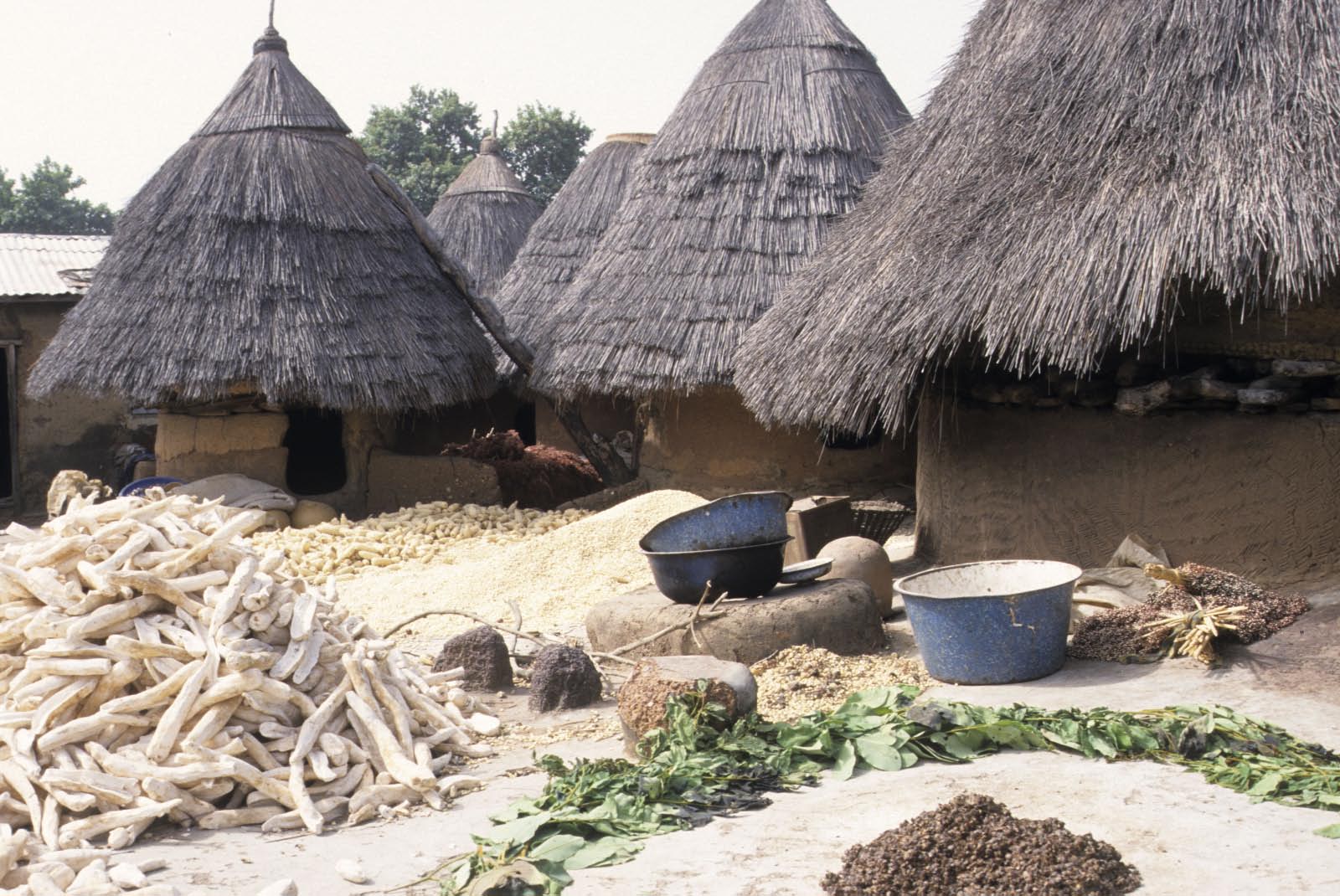 vie rurale au Benin 