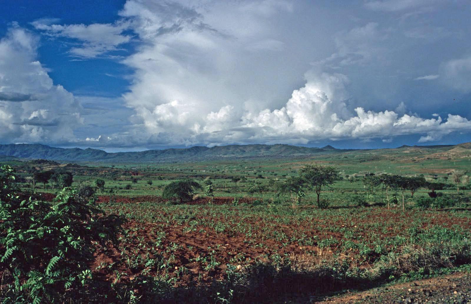 ethiopie - hauts plateaux