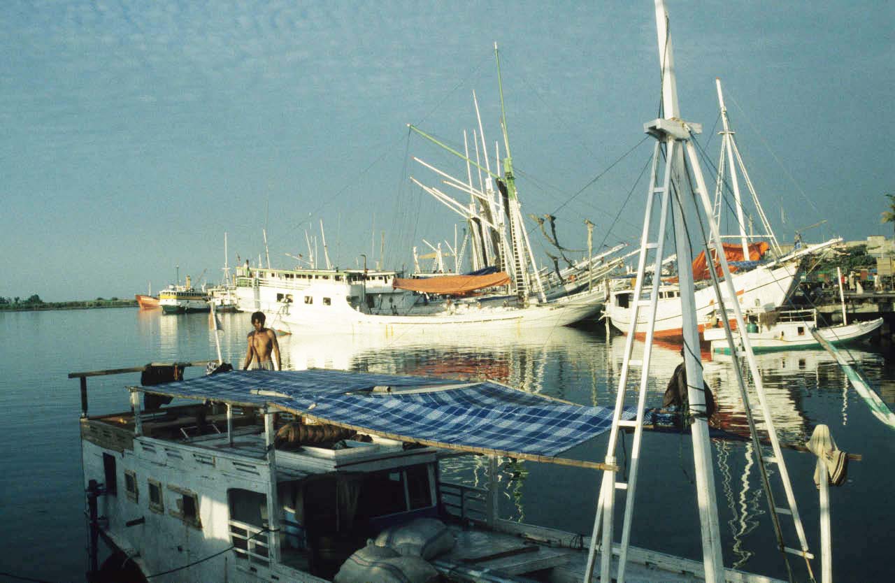 Pinisi utilisés par les Bugis dans le port de Makassar