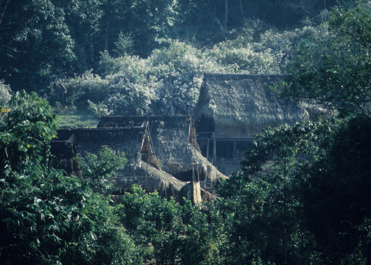 village de la foret  au  laos 