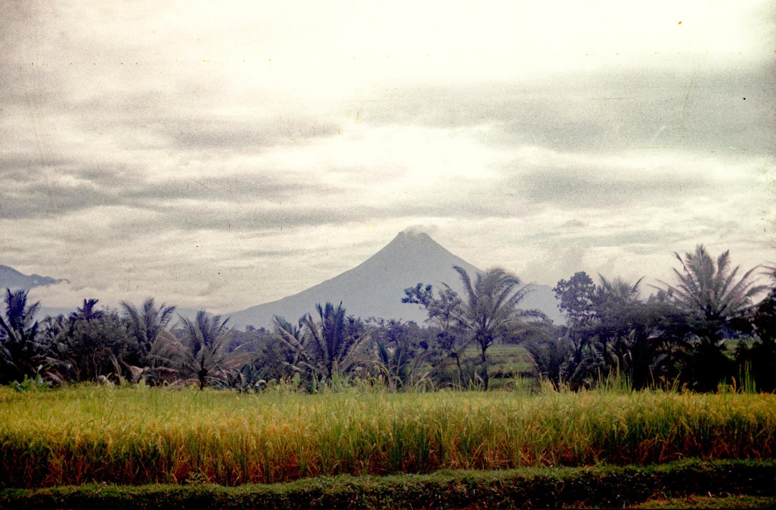 paysage de Java avec les volcans