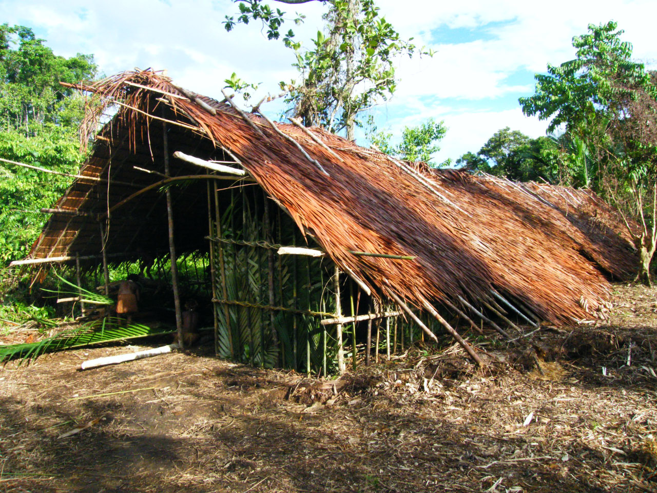 Une "longue maison" est construite pour accueillir les invités de la fête du Sagou