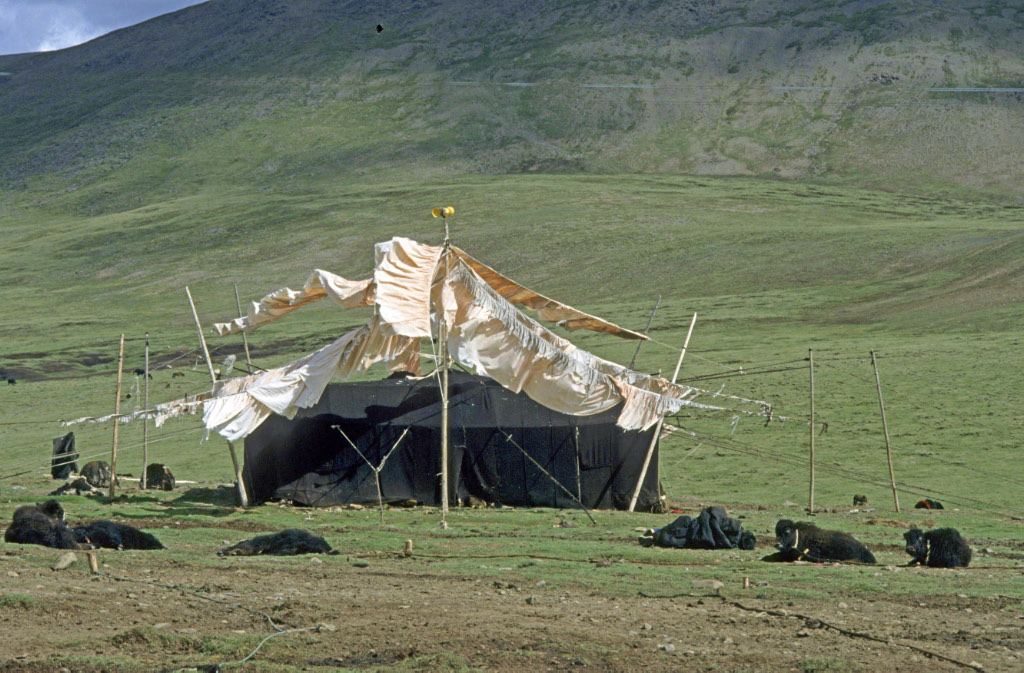 Les tentes d'été sont en poil de Yak